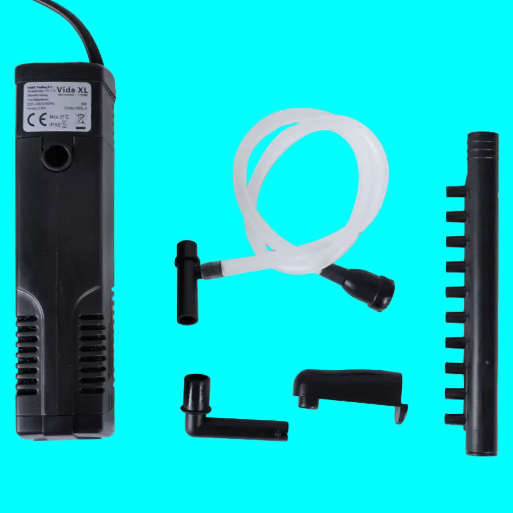 Pump and accessories on a white background