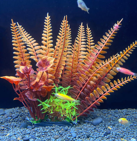Artificial aquarium plants with fish swimming around on a dark background