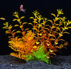 Artificial aquarium plants with a fish on a black background