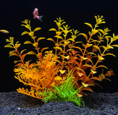 Artificial aquarium plants with a fish on a black background