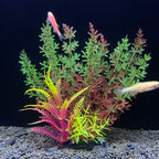 Colorful artificial aquarium plants with fish on a dark background