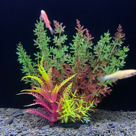 Colorful artificial aquarium plants with fish on a dark background