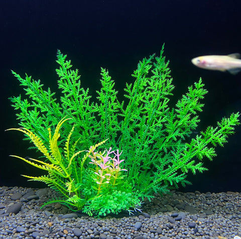 Artificial green aquarium plant with a fish in the background