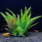 Artificial green fern plants with red accents on a dark background