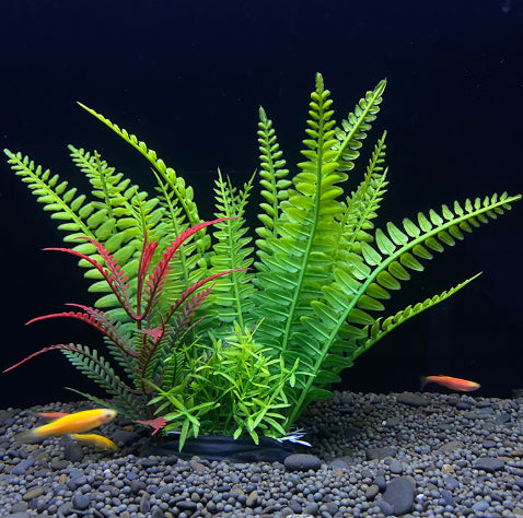 Artificial green fern plants with red accents on a dark background