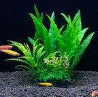 Aquarium with green plants and small fish on a black background