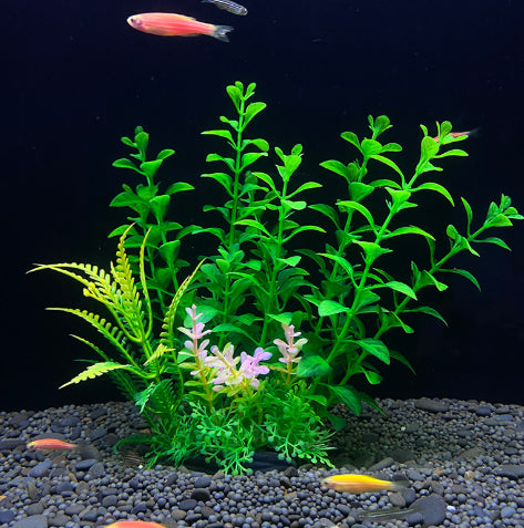 Aquarium with green plants and small fish on a dark background