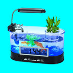 Small aquarium with fish, plants, and a digital thermometer on a white background