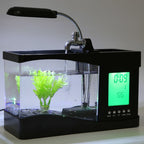 Small aquarium with a digital clock display on a white background