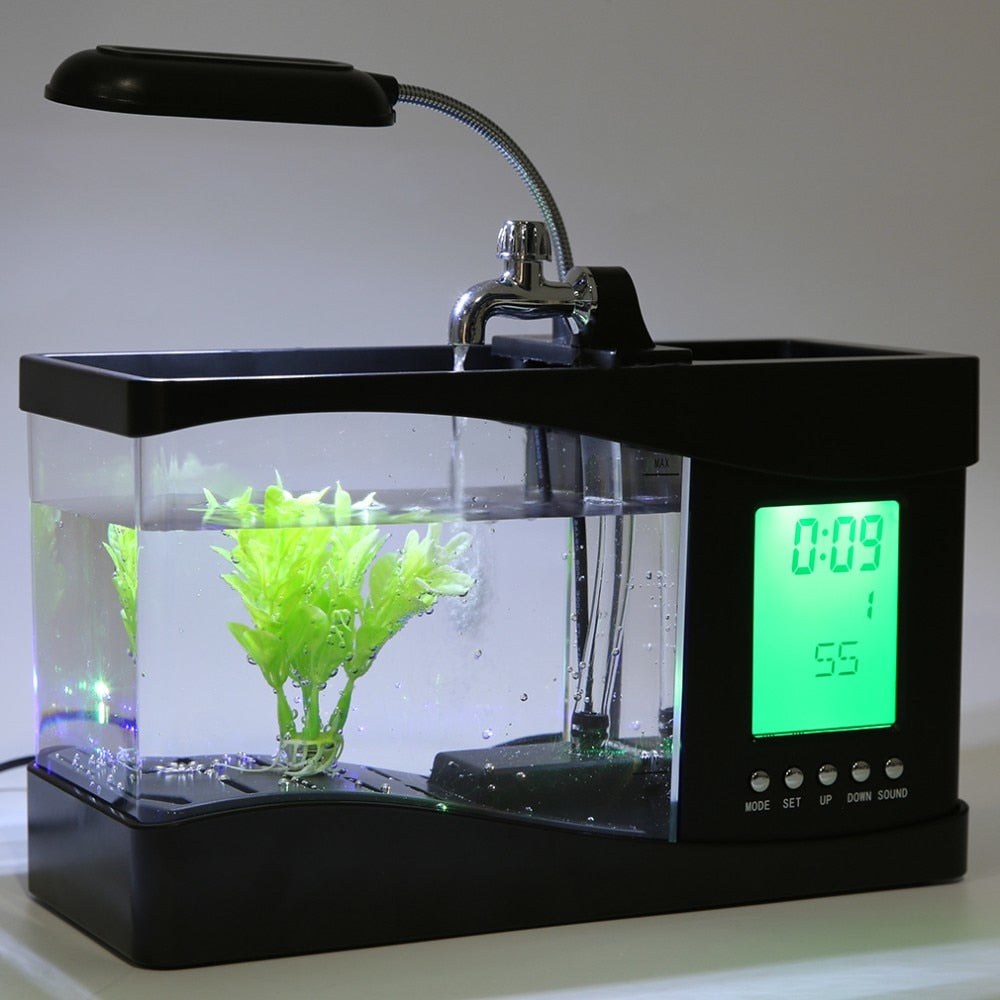 Small aquarium with a digital clock display on a white background