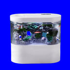 Desktop mini aquarium fish tank ecological landscape design