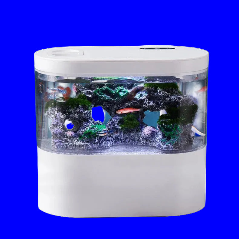 Desktop mini aquarium fish tank ecological landscape design
