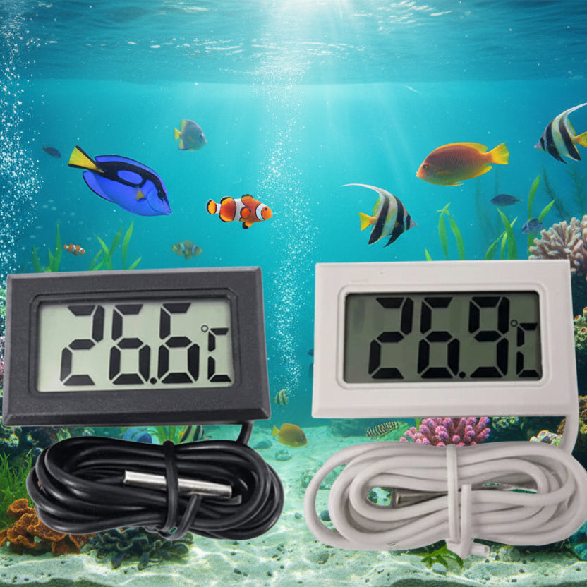 Two digital thermometers with cables on a white background