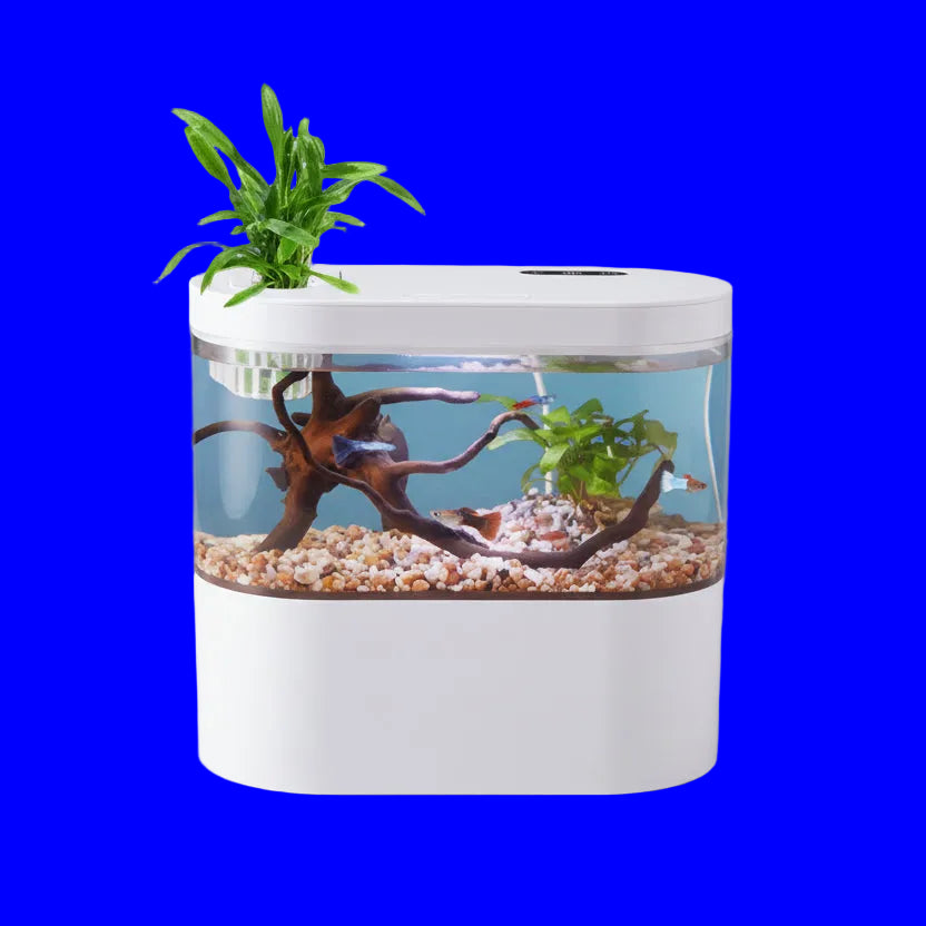 Fish tank with included components on a blue background