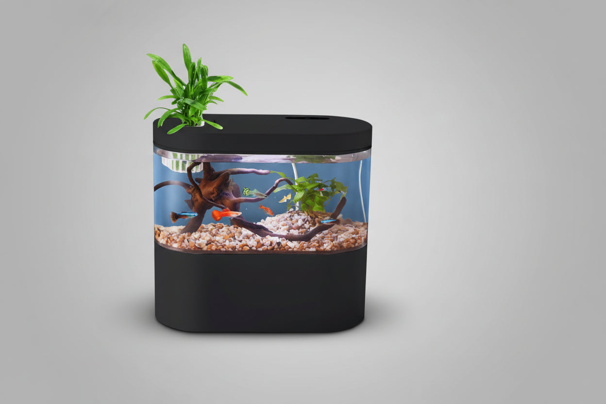 Fish tank with black lid on a blue background, featuring a configuration list.