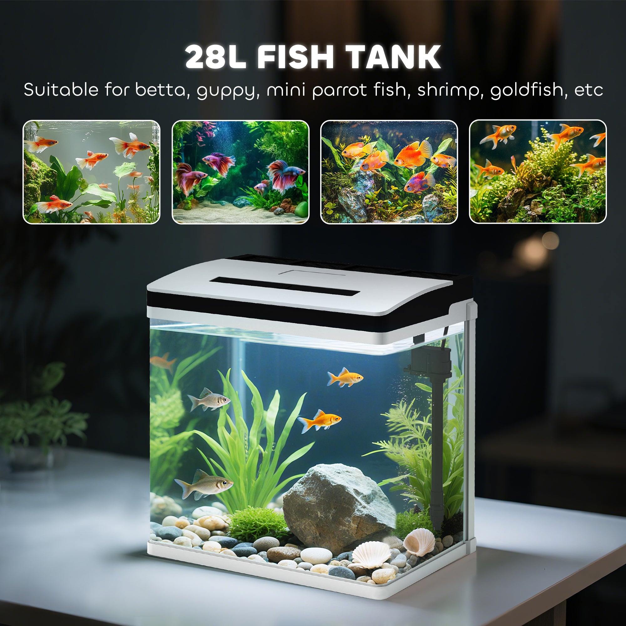 28L fish tank with fish and aquatic plants on a dark background