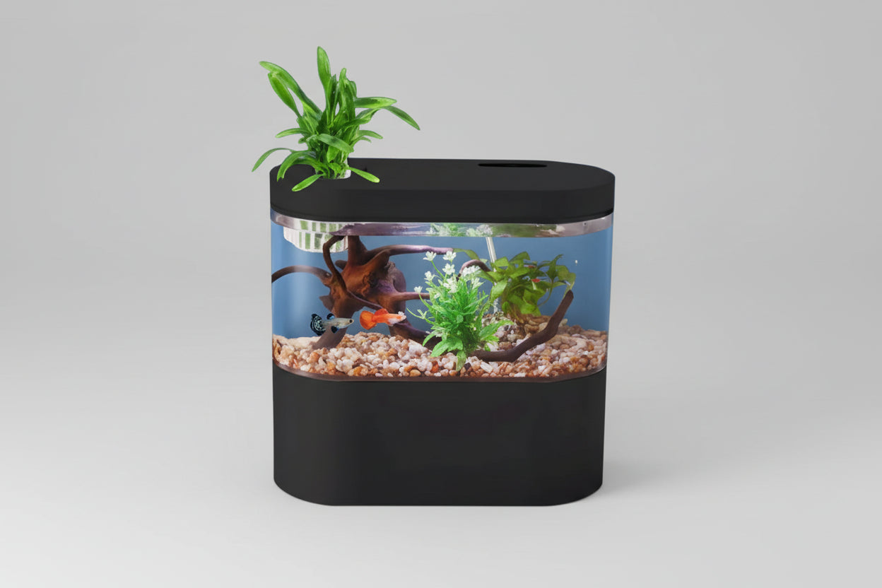 Small ecological aquarium tank for home decoration