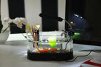 Small aquarium with decorative items on a desk